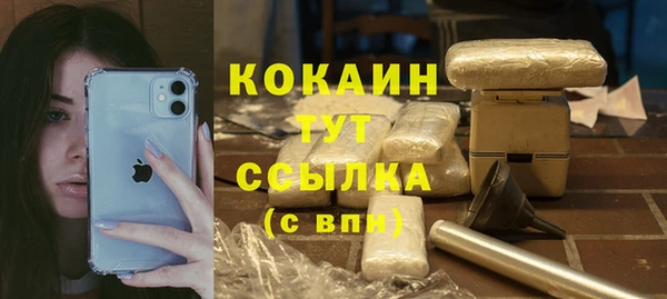 СК Белокуриха