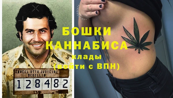 СК Белокуриха