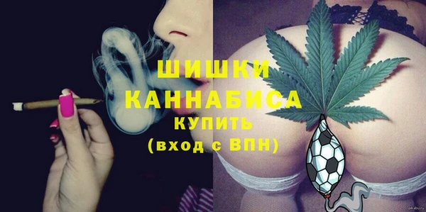 PSILOCYBIN Белоозёрский