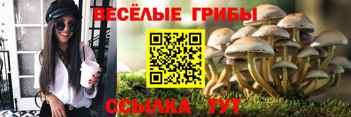 Псилоцибиновые грибы Cubensis Бузулук